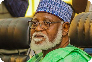 General Abdulsalami A. Abubakar, Chairman of the National Peace Committee